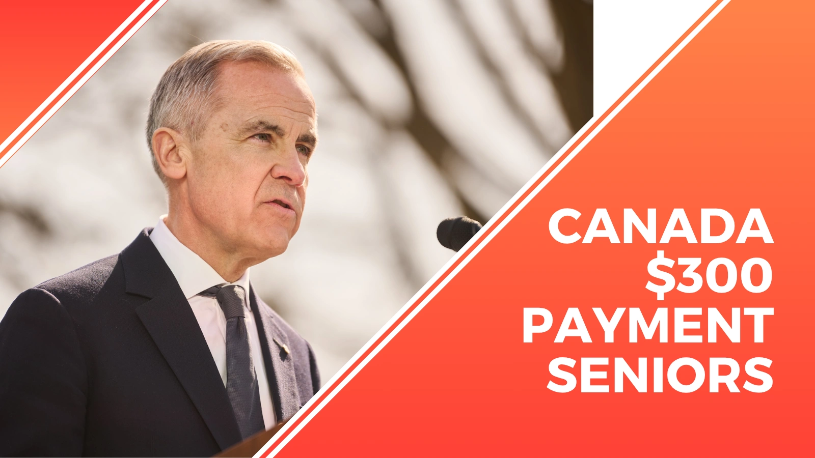 Canada $300 Payment for Seniors in 2025 What Low-Income Pensioners Need to Know
